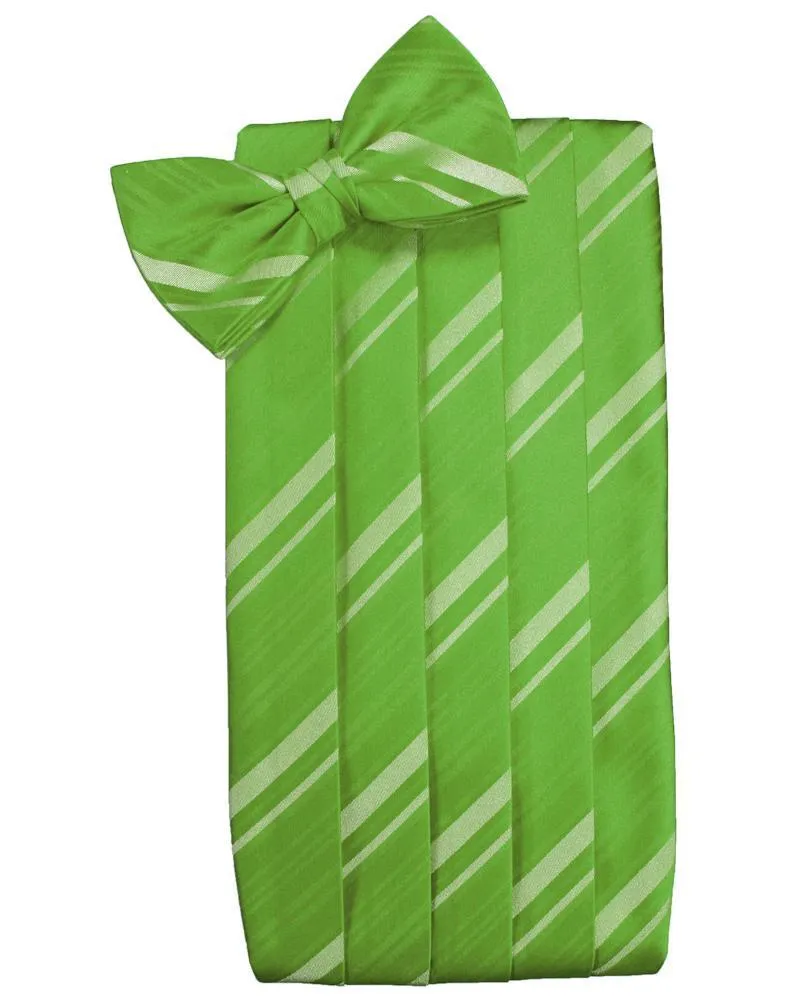 Kelly Kids Striped Satin Cummerbund