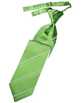 Kelly Striped Satin Kids Necktie